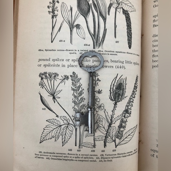 🗝️Antique Vintage Skeleton Key Pendant - Picture 4 of 10